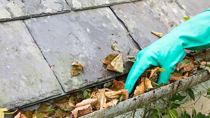 Professional gutter maintenance