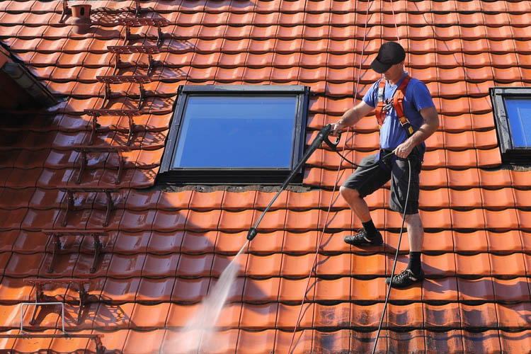 Roof cleaning service